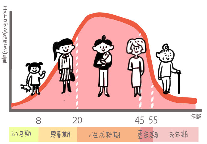 女性ホルモンと年齢